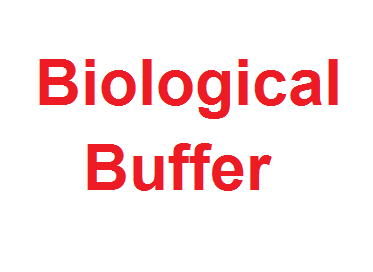 Hóa chất đệm sinh học (Biological Buffer), Brand Forever, China