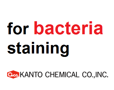 Hóa chất nhộm vi khuẩn (for bacteria staining), Hãng Kanto, Nhật