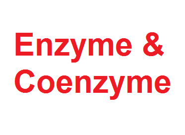 Enzyme and Coenzyme, Brand: Forever, China